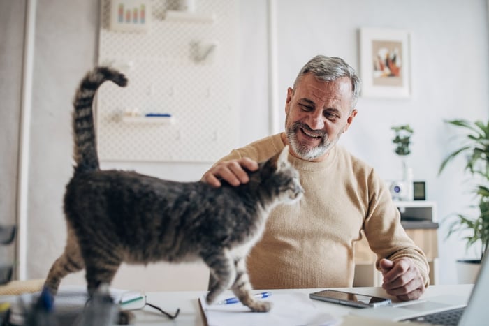 A person pets a cat as it walks in front of their laptop. 