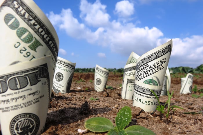 Hundred-dollar bills are shown growing out of the ground.