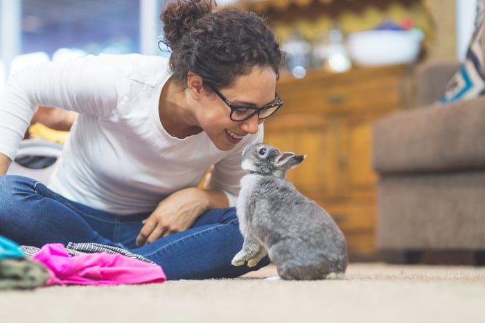 A pet owner leans close to a rabbit in a living room.