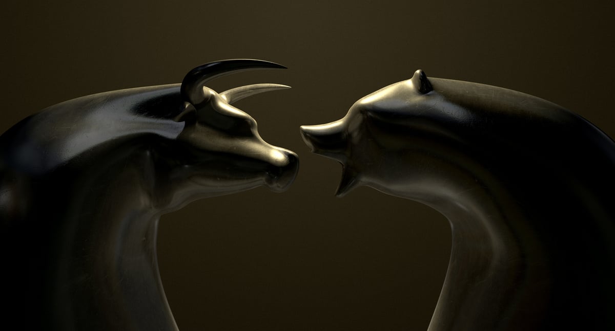 Vanguard Total Stock Market Index Fund ETF Shares: Bull vs. Bear