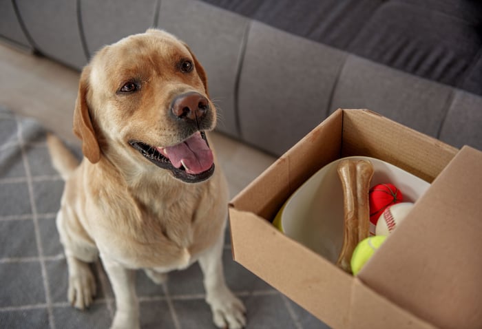 A dog next to a box of toys.