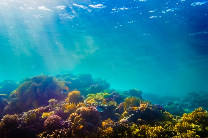 A coral reef on the ocean floor. The water is deep blue and turquoise. 