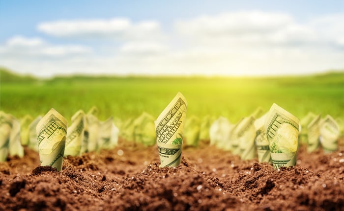 Hundred dollar bills sprouting out of the soil against the backdrop of a green field and blue sky.