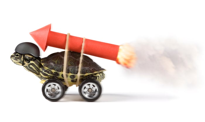 A turtle on a set of wheels wearing a helmet with a red rocket tied to its back.