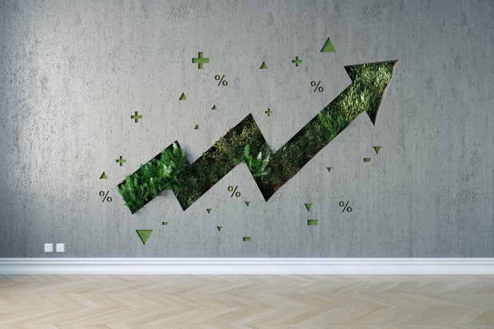 An upward-trending green arrow made of green foliage on a gray wall.