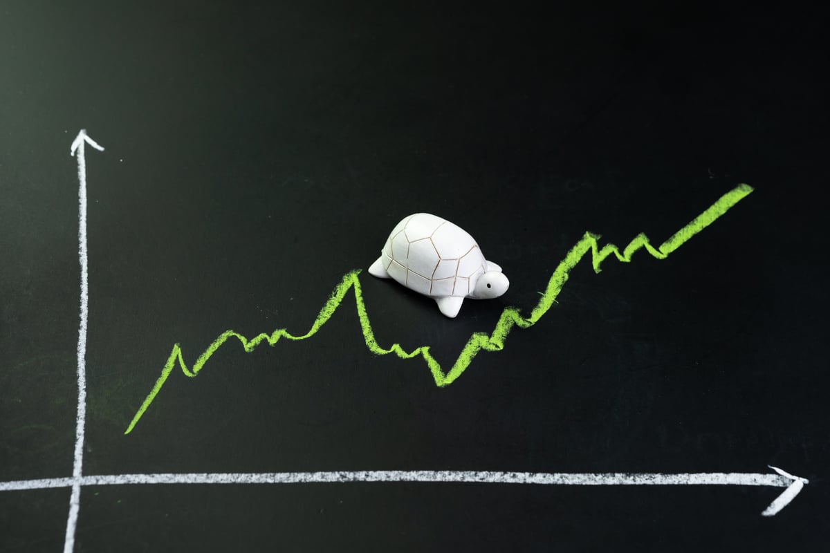 26_07_31 A slowly rising graph with an image of a tortoise above the line _GettyImages-1160752140-1201x800-5b2df79