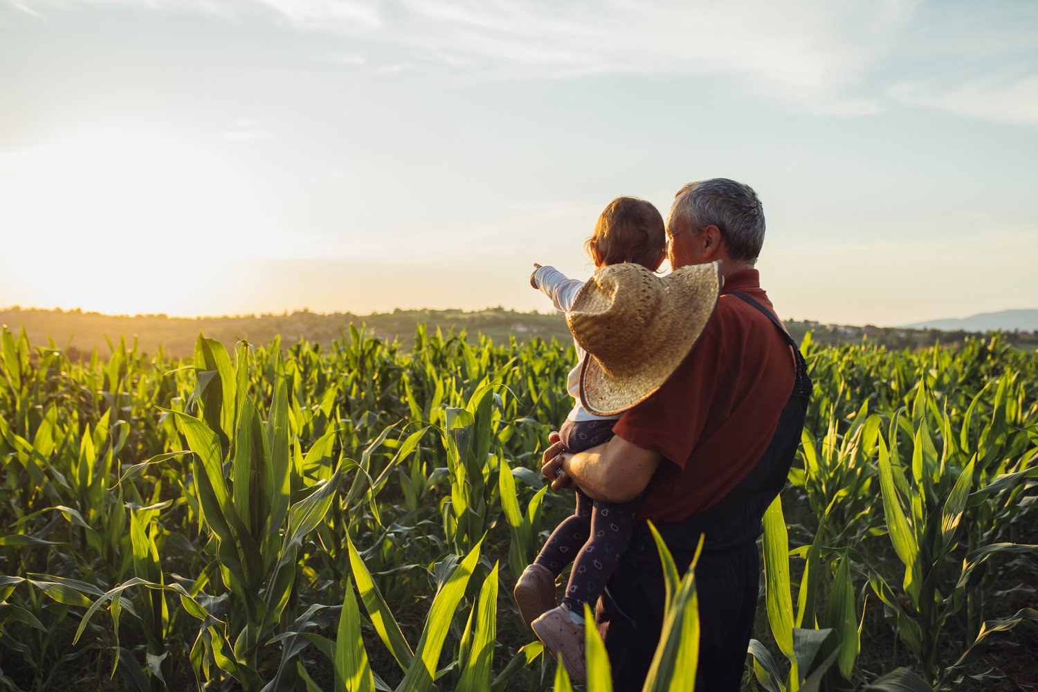 farming multigenerational harvest farm-1500x1000-6b42342 Getty Images