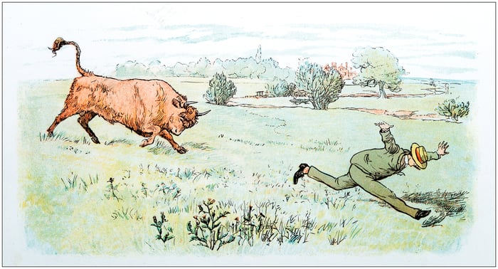 Bull chasing a man through a field.