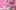 GettyImages-104212737