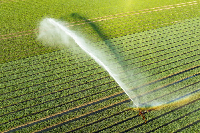 A field of crops. 