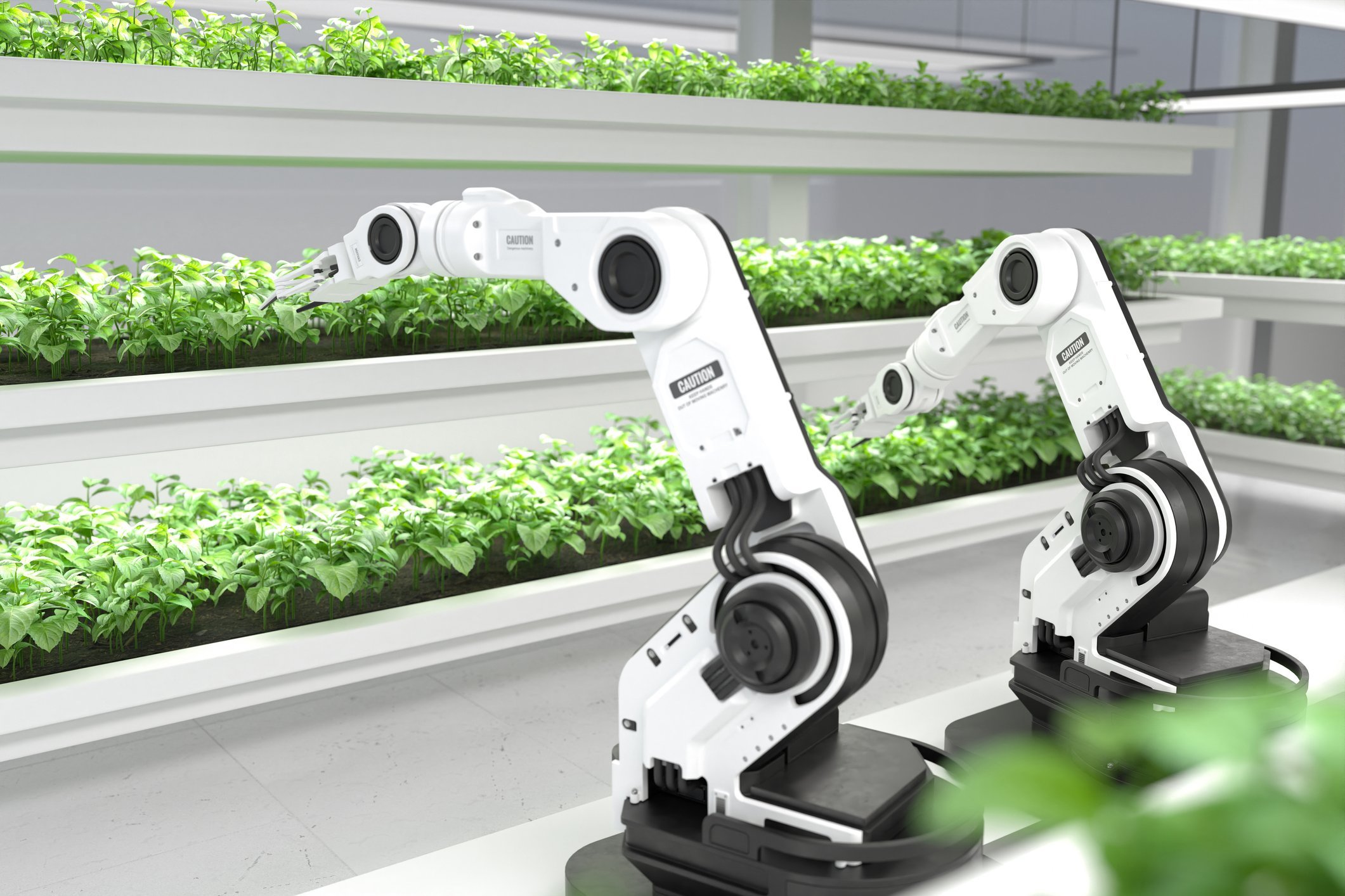 Robots taking care of plants in a greenhouse.jpg