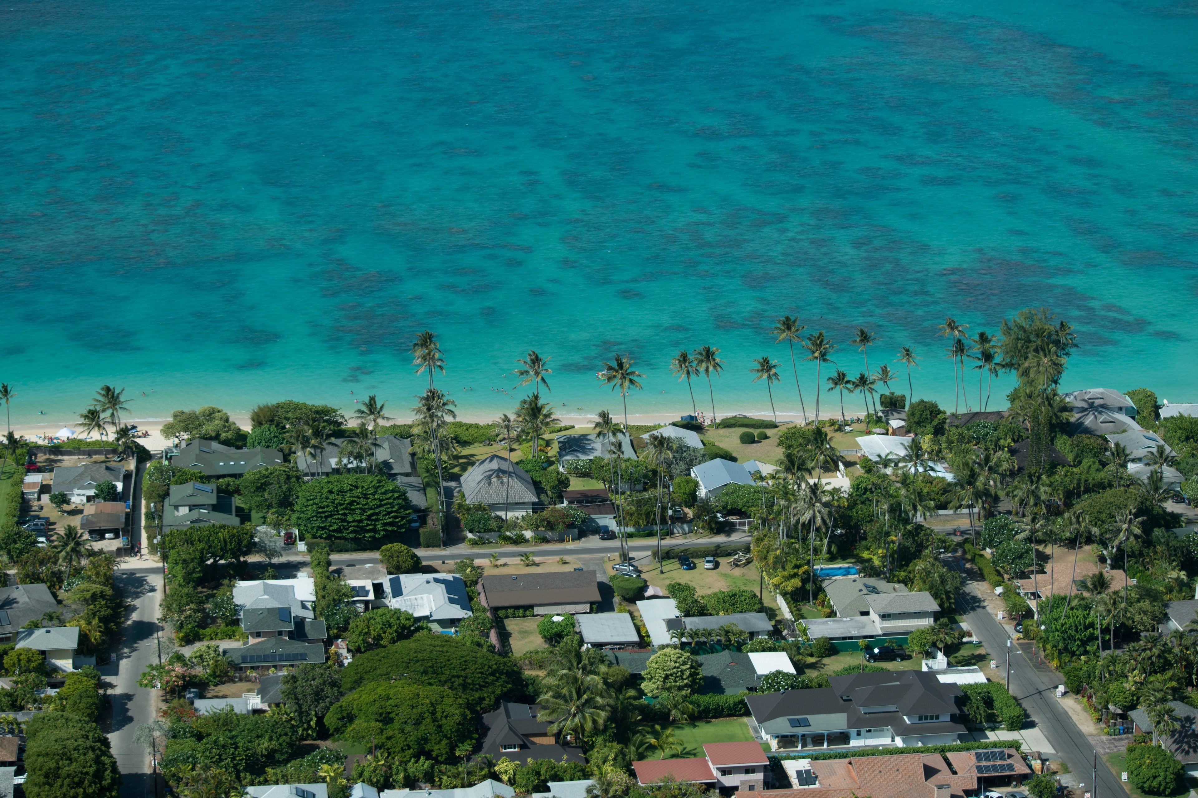 Hawaii coast