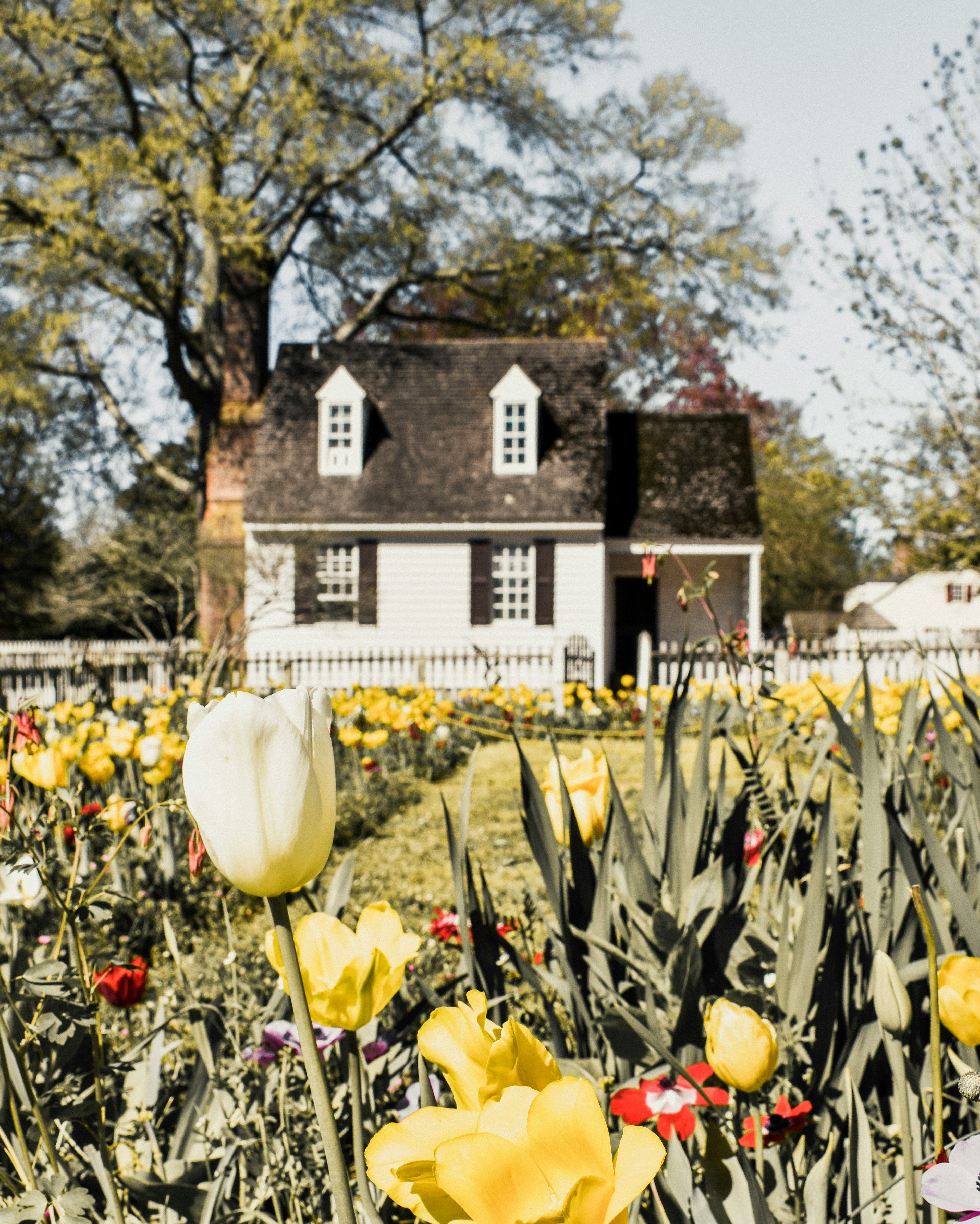 Home with flower