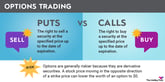 options-trading-infographic