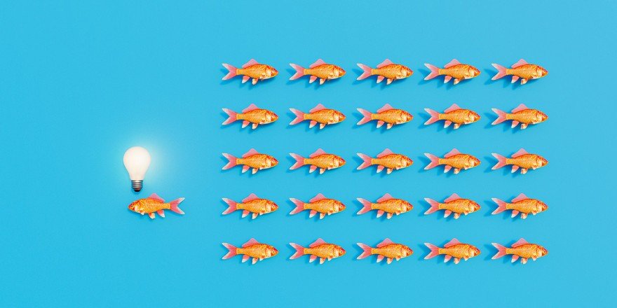One goldfish swimming in the opposite direction of a school with a lightbulb over its head.