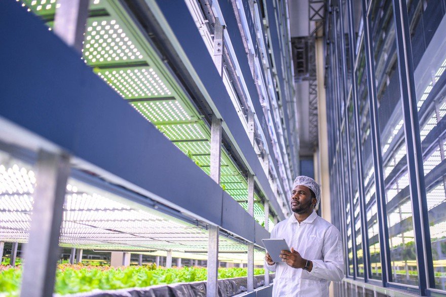 A person with a tablet working in a vertical farm.