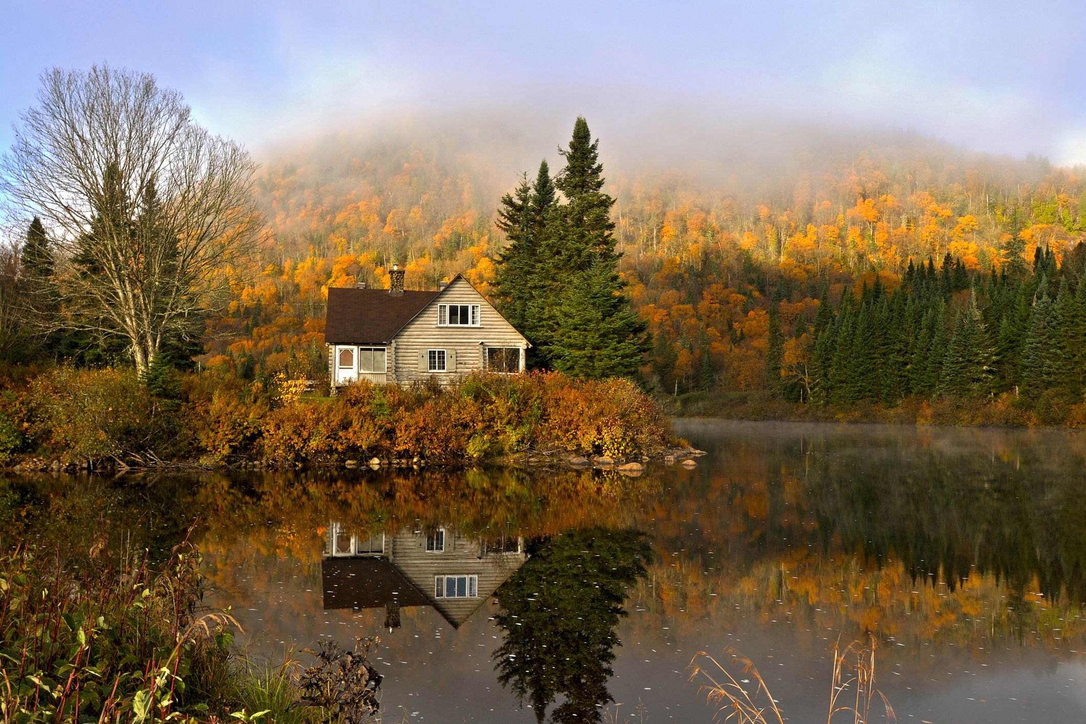A rustic cabin by the lake surrounded by forest