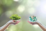 tree_and_globe_sustainable_investing