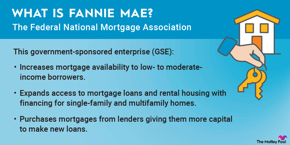 what-is-fannie-mae-infographic