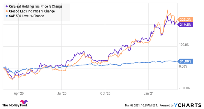 sundial growers stock prediction 2021