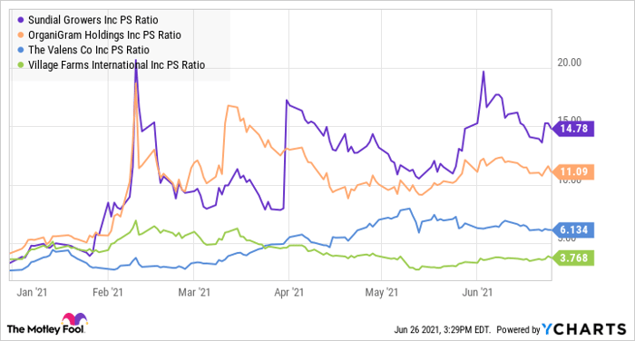 sundial growers stock price prediction 2021