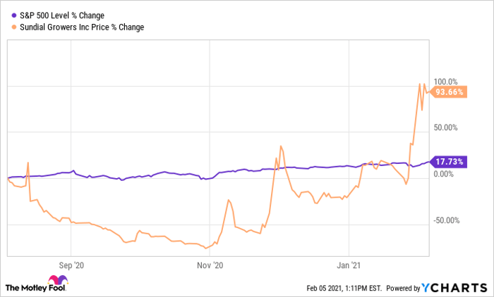 Why Is Everyone Talking About Sundial Growers Stock Nasdaq