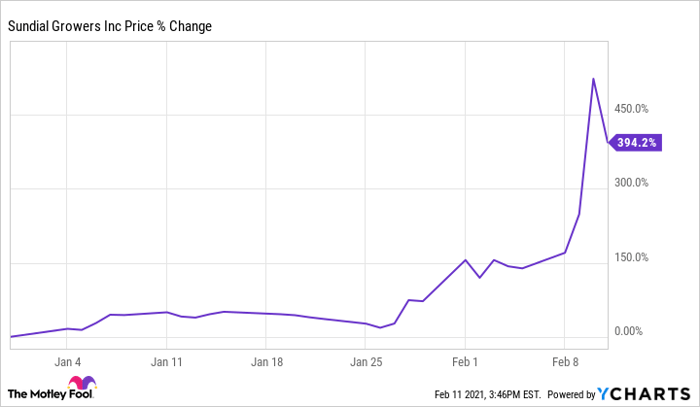 Is It Too Late To Buy Hot Reddit Stock Sundial Growers Nasdaq