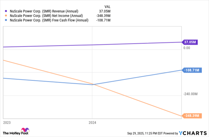 SMR Revenue (Annual) Chart