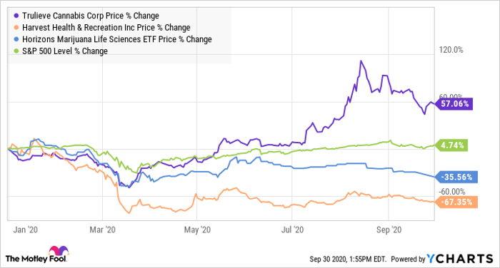 TCNNF Chart