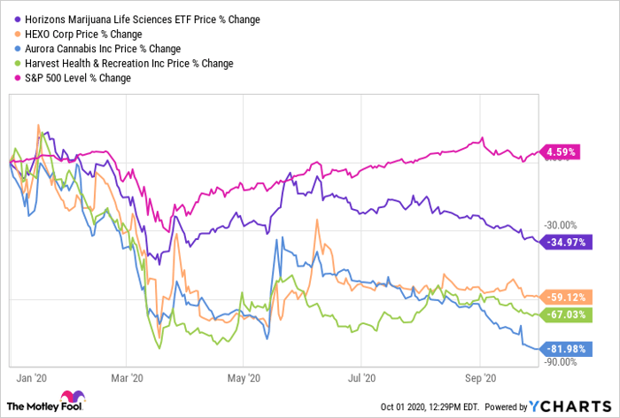 These 3 Pot Stocks Have Lost Half Their Value In Can Any Of Them Recover Nasdaq
