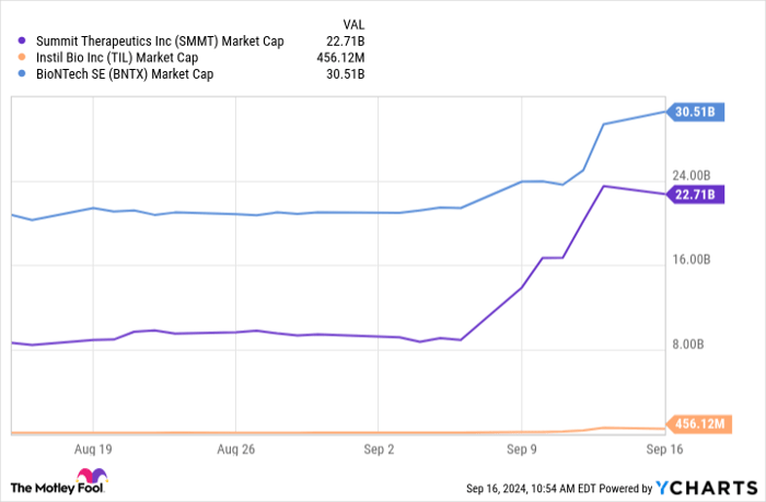 SMMT Market Cap Chart