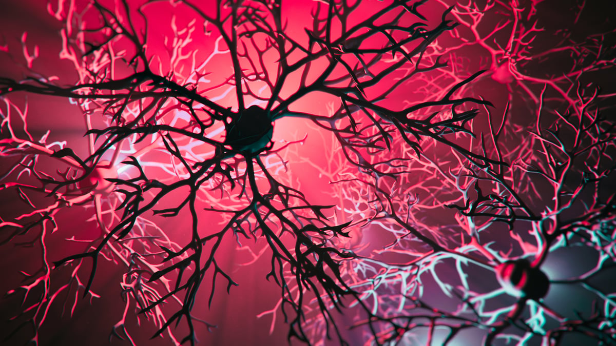 Cortexon Why Cortexyme Stock Imploded in 2021 | The Motley Fool