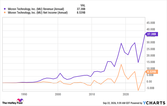 MU Revenue (Annual) Chart