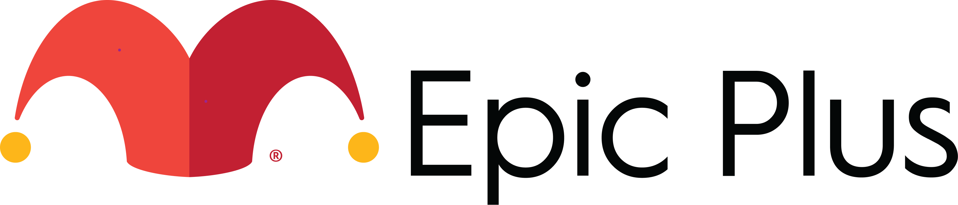 Epic Plus Logo